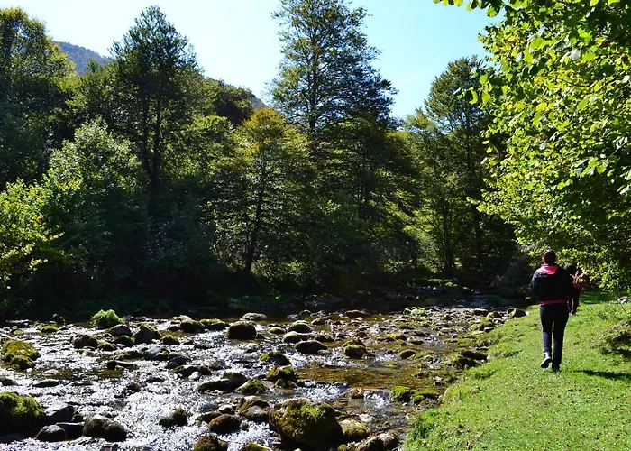 Gites Communaux A Lourdios